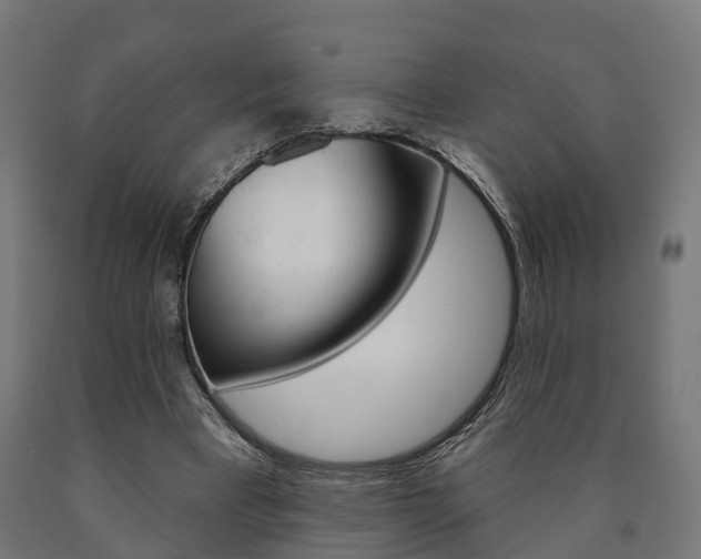 X0000091000393200708021229