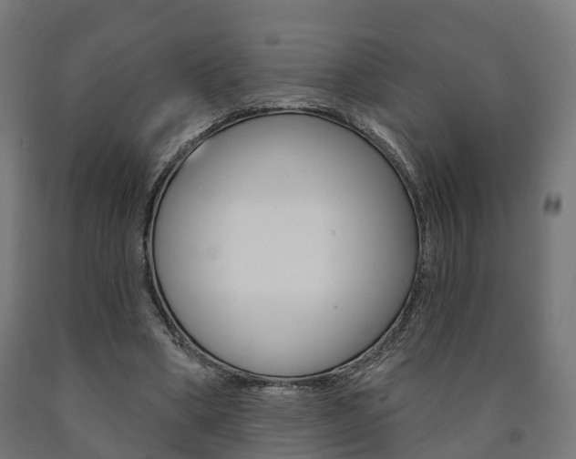 X0000091000394200708021229