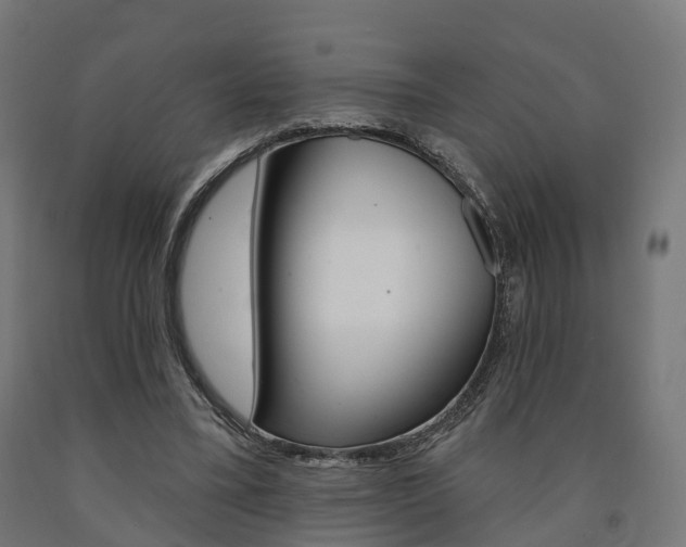 X0000091000395200708021229