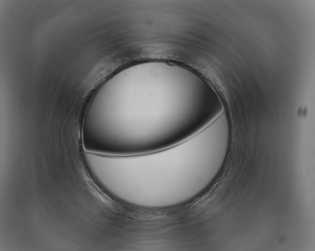 X0000091000397200708021229