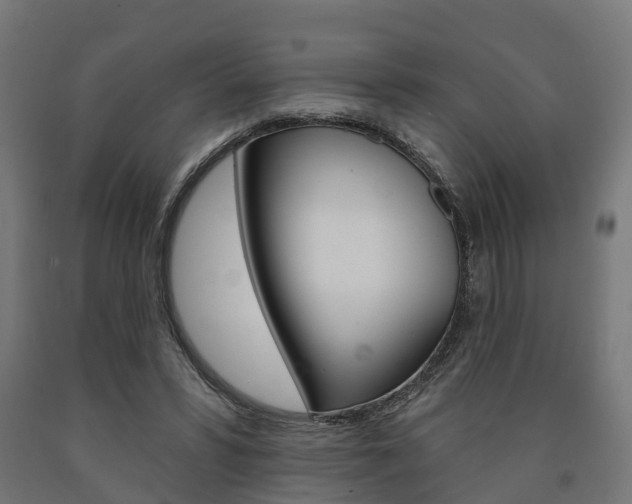 X0000091000399200708021229