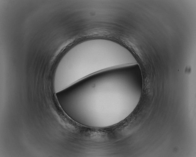 X0000091000400200708021229