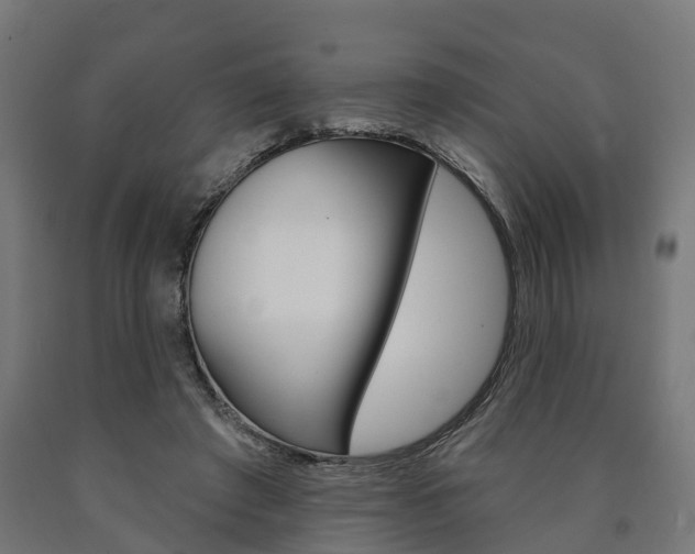 X0000091000401200708021229