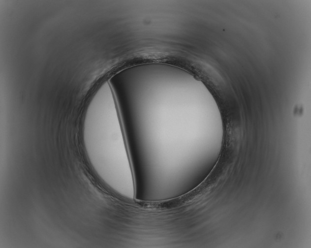 X0000091000404200708021229