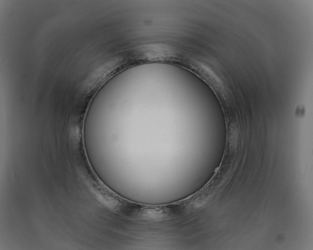 X0000091000405200708021229