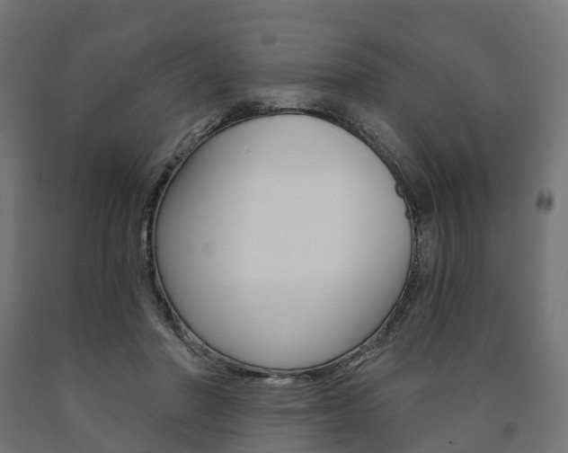 X0000091000406200708021229