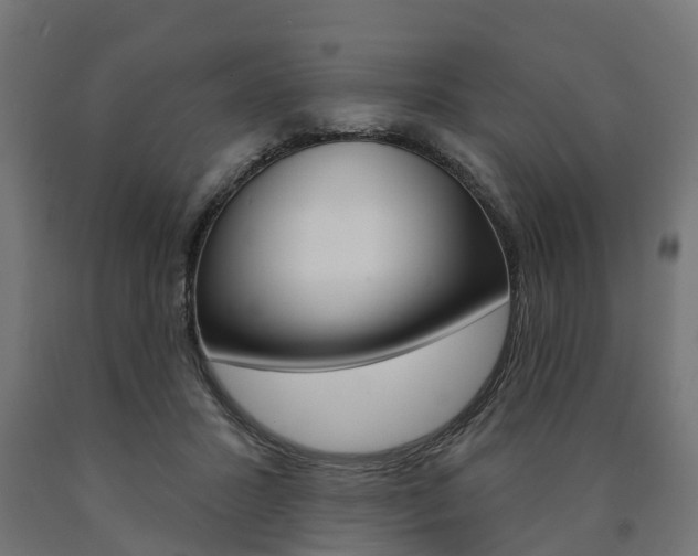 X0000091000407200708021229