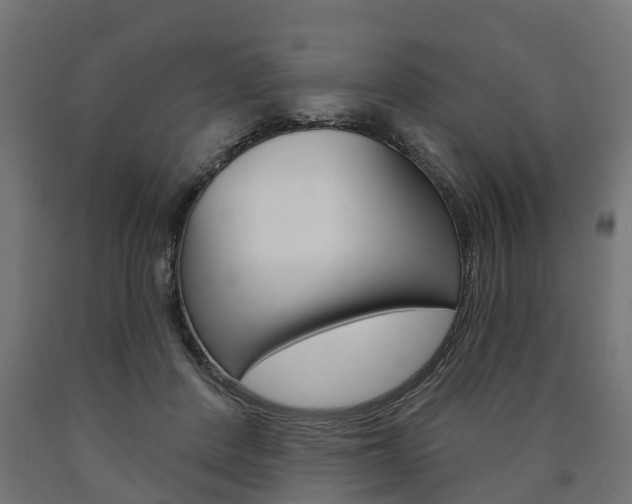 X0000091000408200708021229