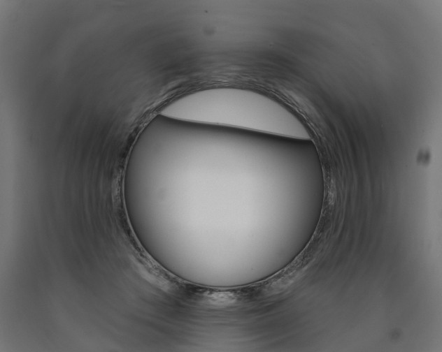 X0000091000409200708021229