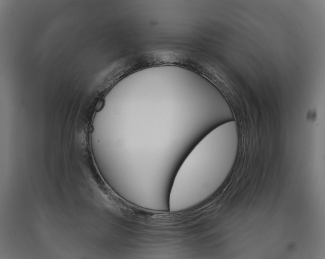 X0000091000410200708021229
