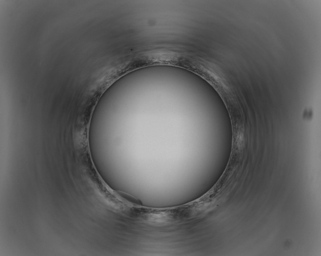 X0000091000411200708021229