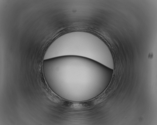 X0000091000413200708021229