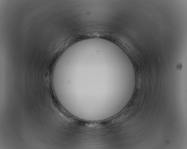 X0000091000414200708021229