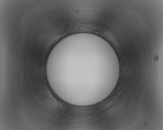 X0000091000415200708021229