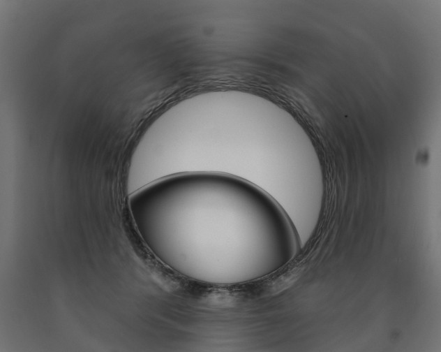 X0000091000416200708021229