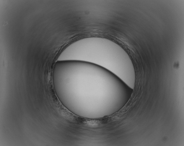 X0000091000417200708021229