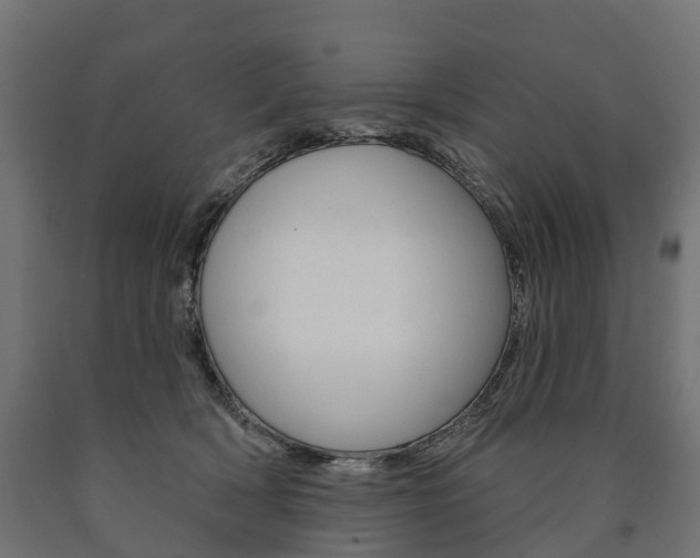 X0000091000418200708021229