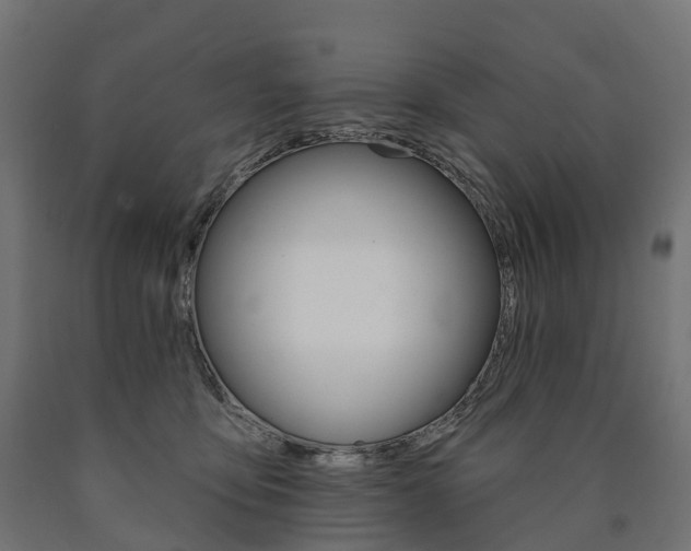 X0000091000419200708021229