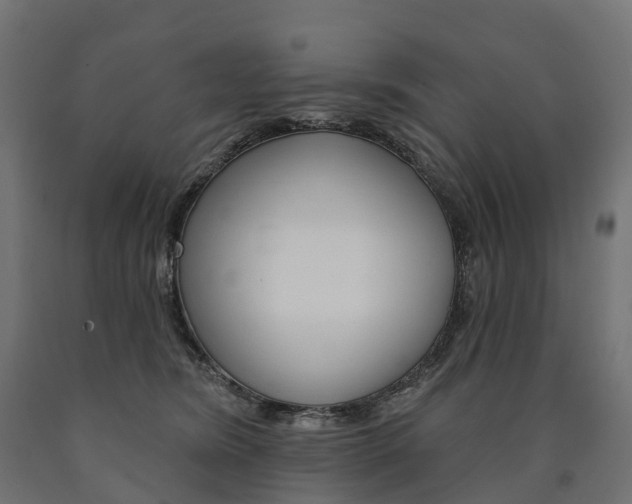 X0000091000420200708021229