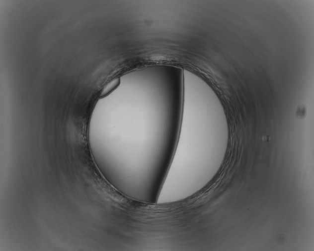 X0000091000421200708021229