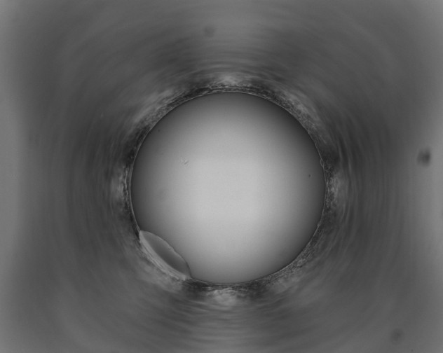 X0000091000423200708021229
