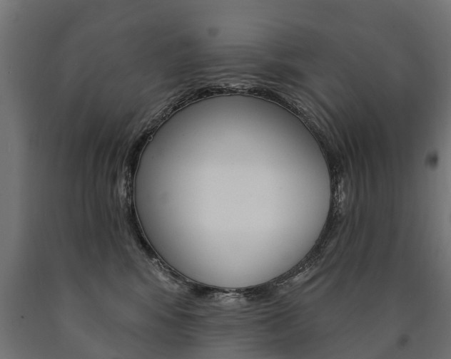 X0000091000424200708021229