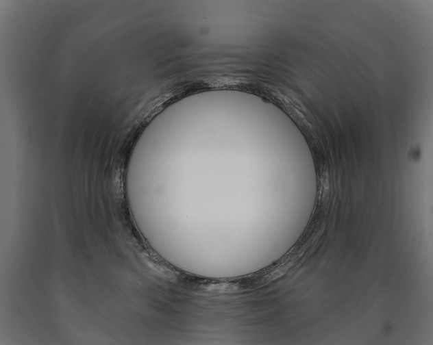 X0000091000426200708021229
