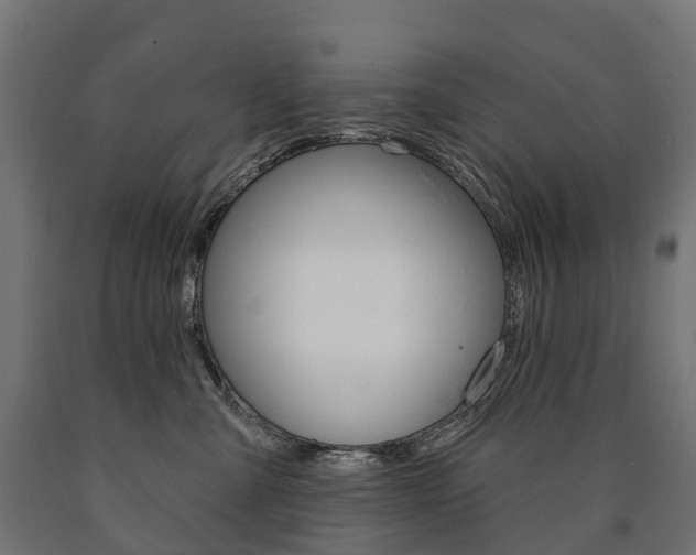 X0000091000427200708021229