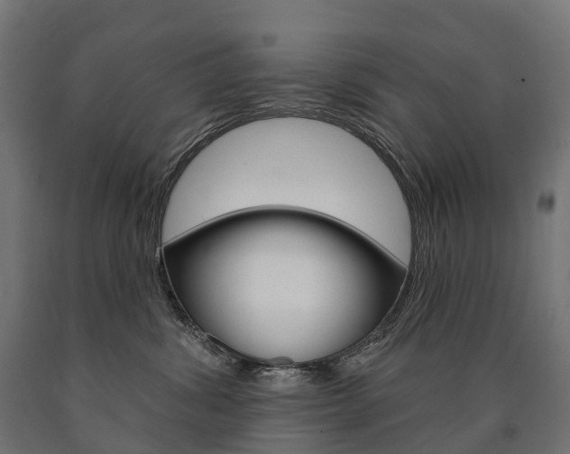 X0000091000428200708021229