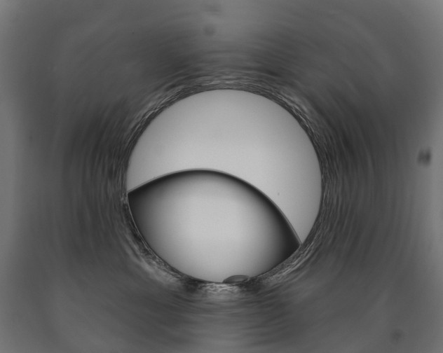 X0000091000429200708021229