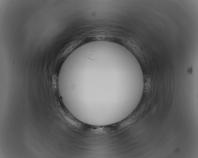 X0000091000430200708021229