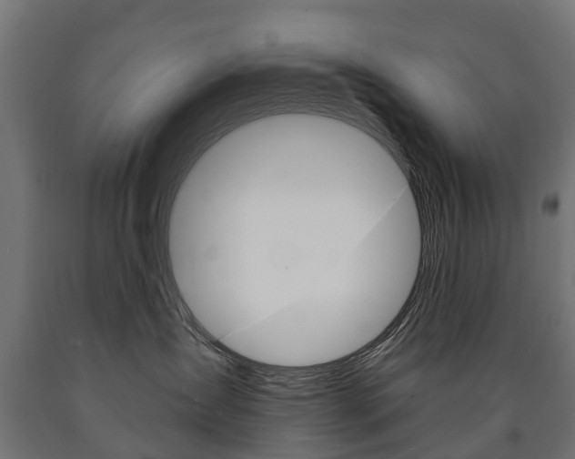 X0000091000431200708021229