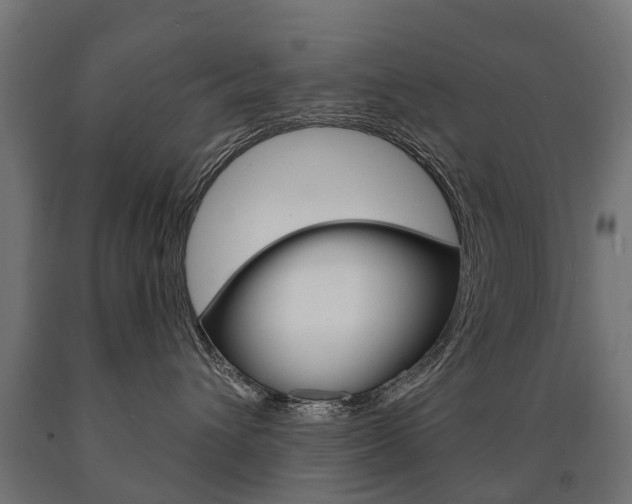 X0000091000432200708021229