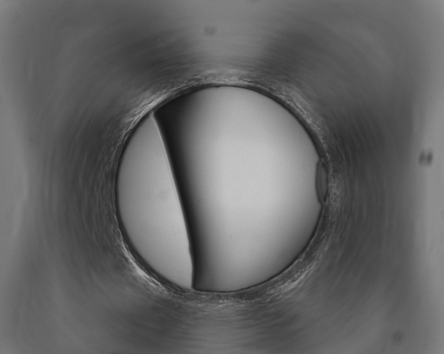 X0000091000433200708021228