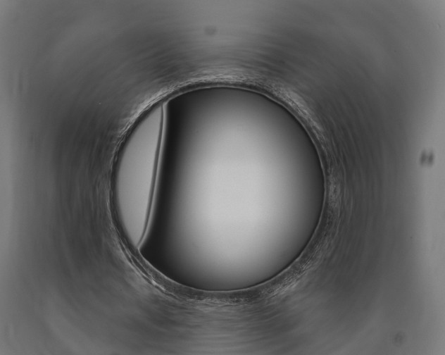 X0000091000434200708021228