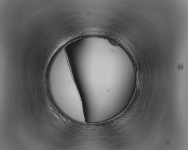 X0000091000435200708021228