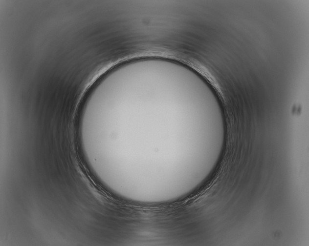X0000091000436200708021228