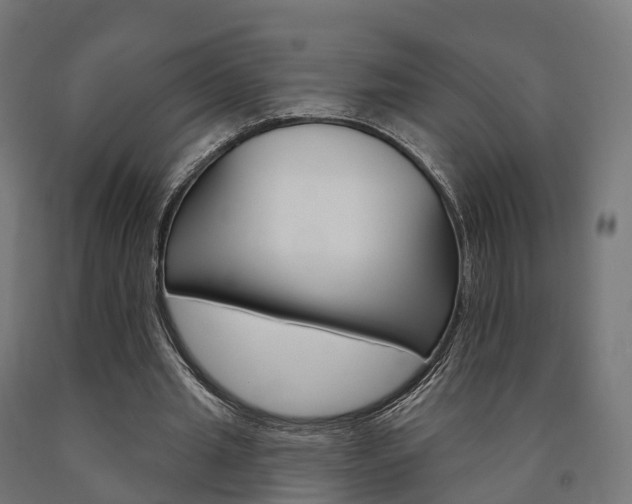 X0000091000437200708021228
