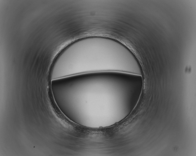 X0000091000438200708021228
