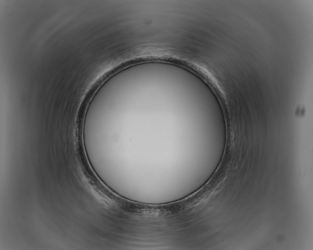 X0000091000439200708021228