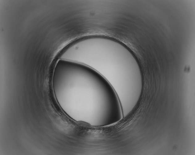 X0000091000440200708021228