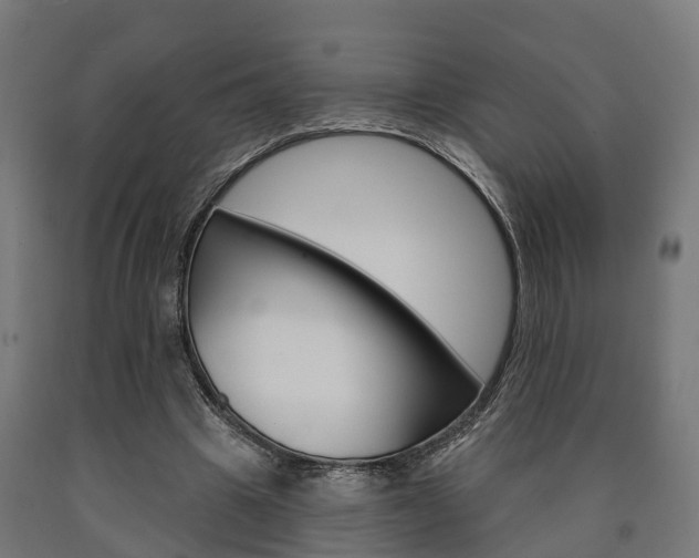 X0000091000441200708021228