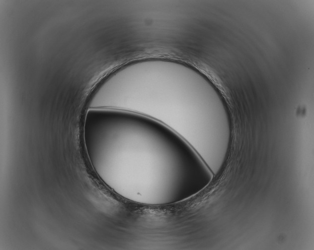 X0000091000442200708021228