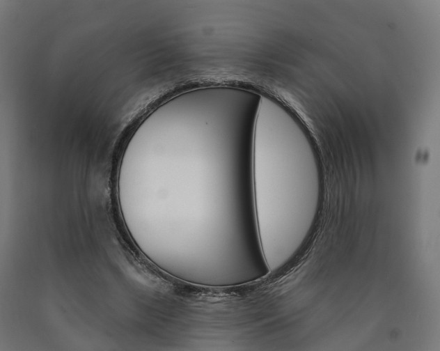 X0000091000443200708021228