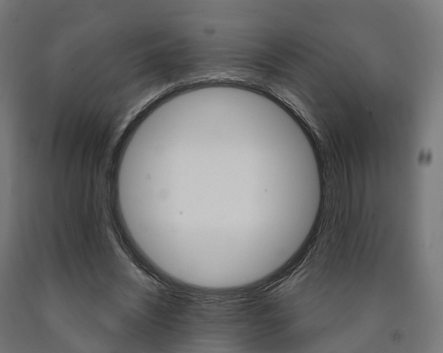 X0000091000444200708021228