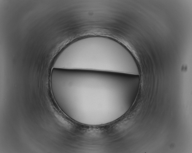 X0000091000445200708021228