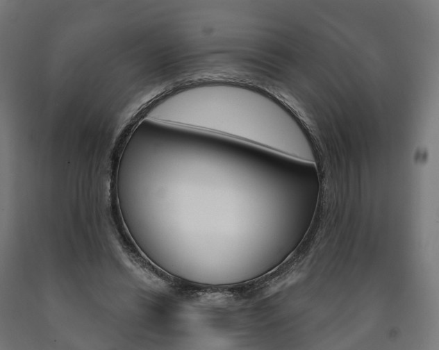X0000091000446200708021228