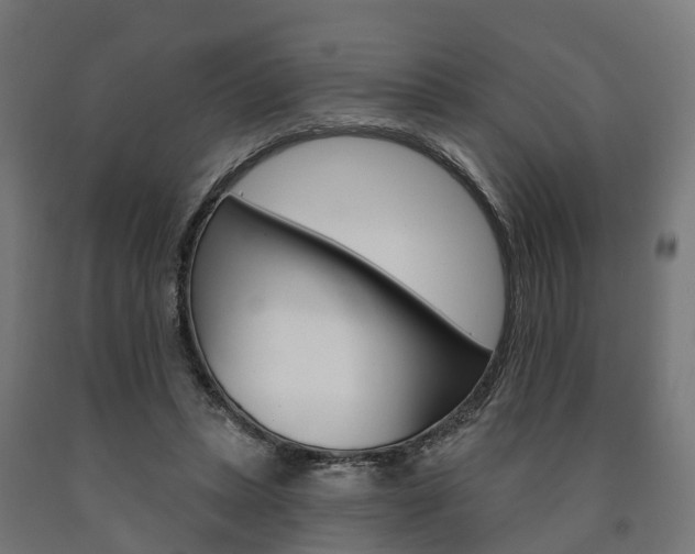 X0000091000447200708021228