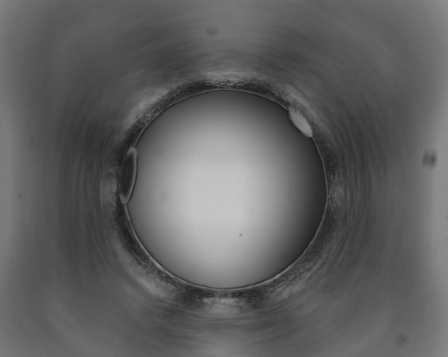 X0000091000448200708021228