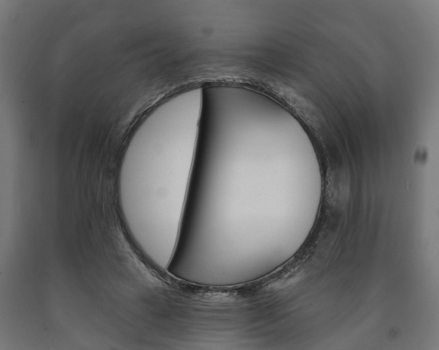 X0000091000449200708021228